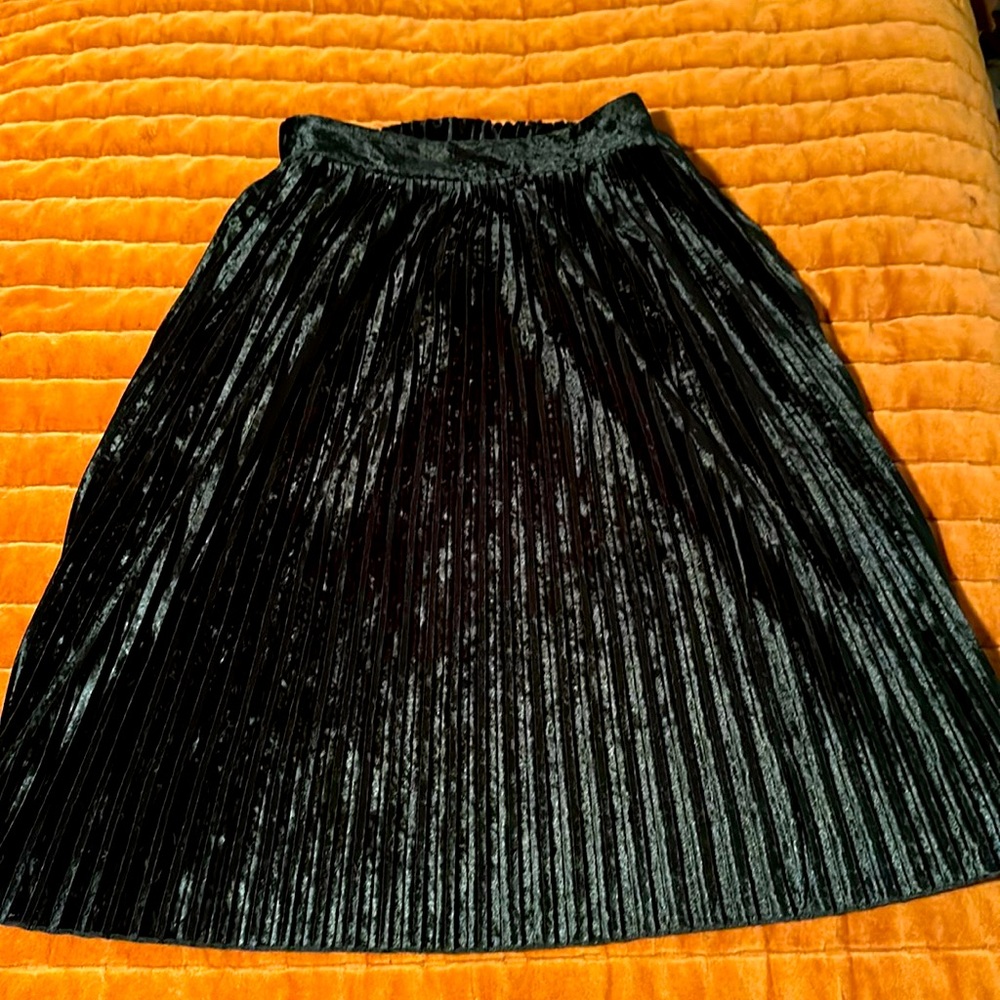 Zara- basic pleated velvet skirt. Hits just below the knee